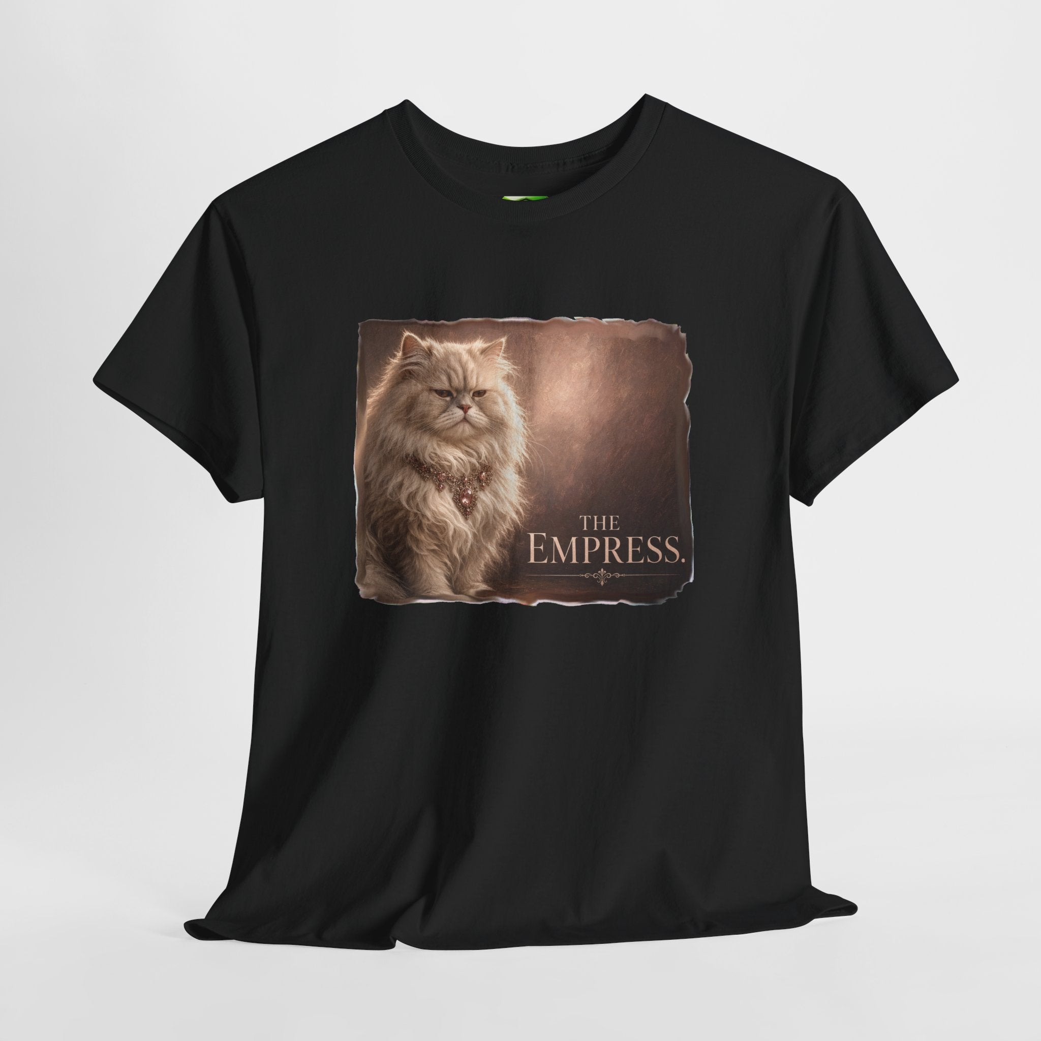 Persian Empress  - Kryptonite T-Shirt | Kryptonite Black Unisex Tee, S-4XL